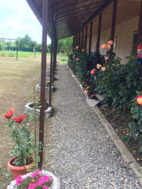Отель Guest house Mandarinhouse  Alakhadzi